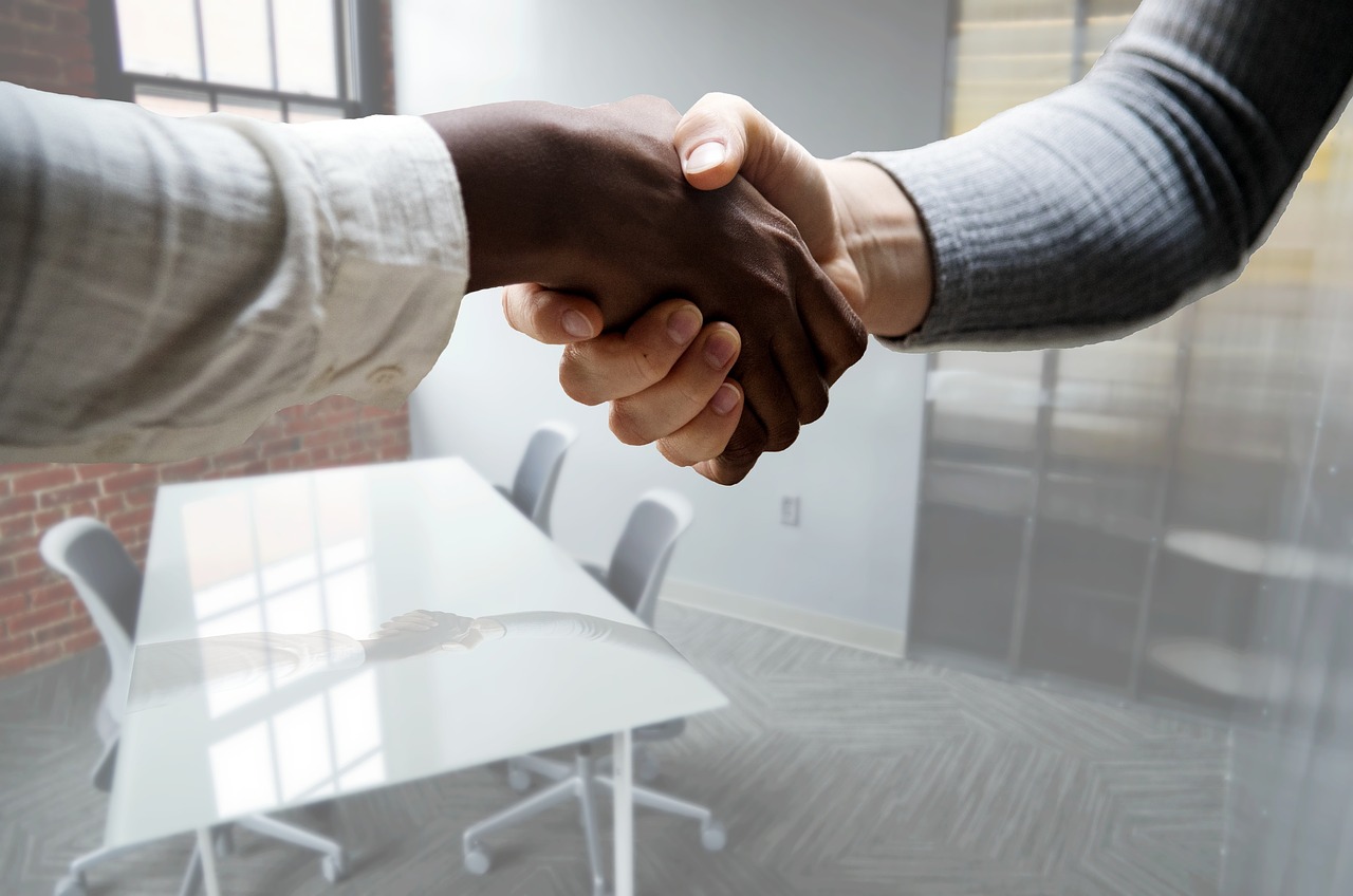 Professional vetting and screening process